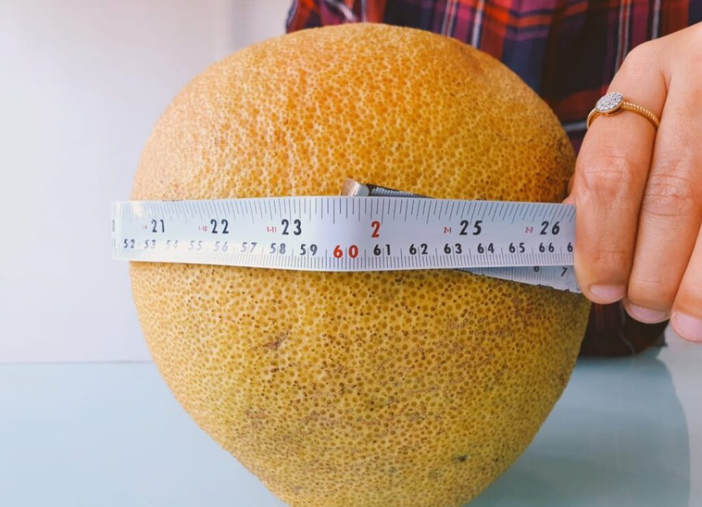સંતરાની પહોળાઈ 24 ઇંચ છે