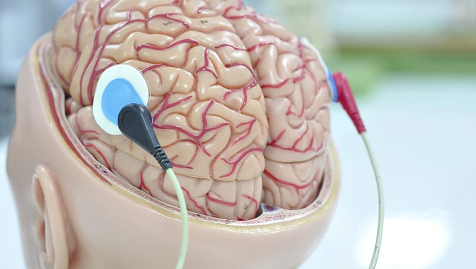 brain reading