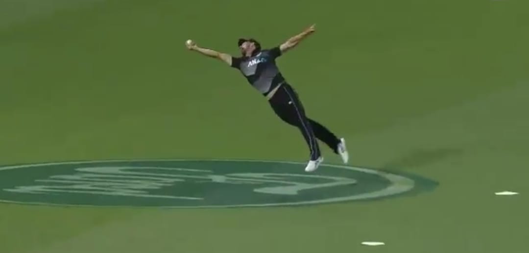 cricket catch