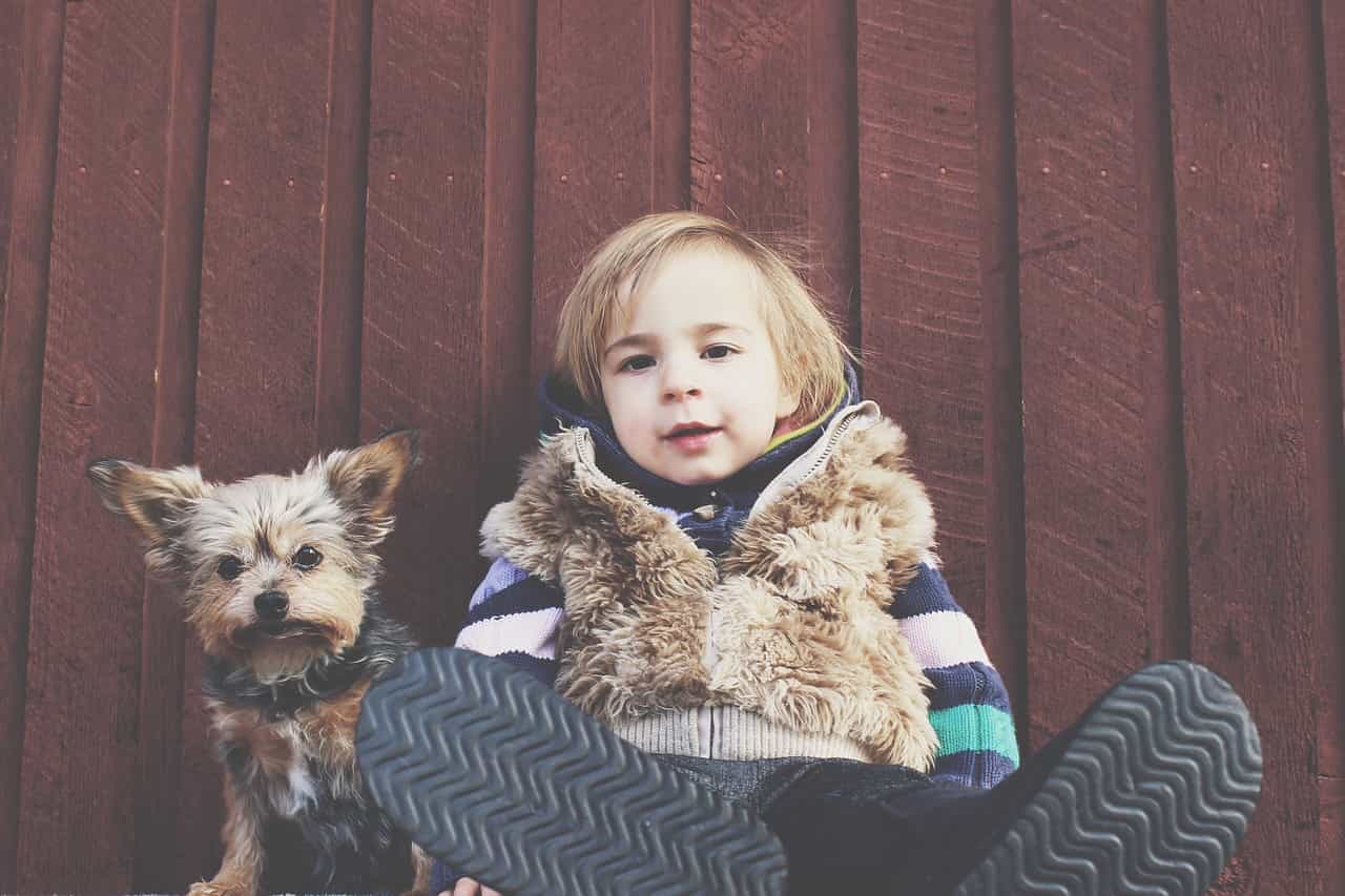 child with dog