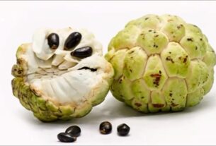 custard apple