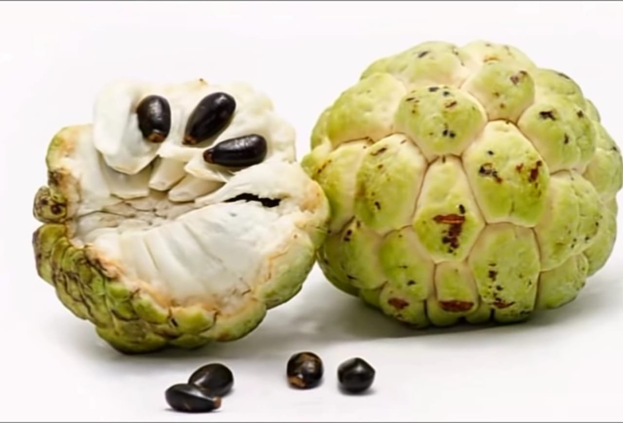 custard apple
