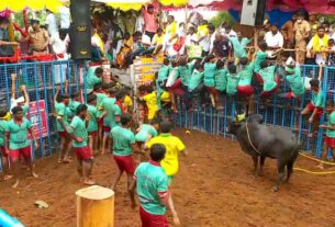 jallikattu