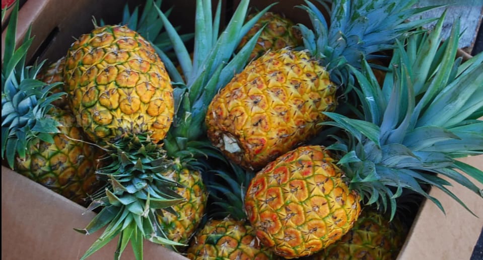 vitamin c fruit