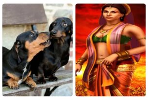 Draupadi