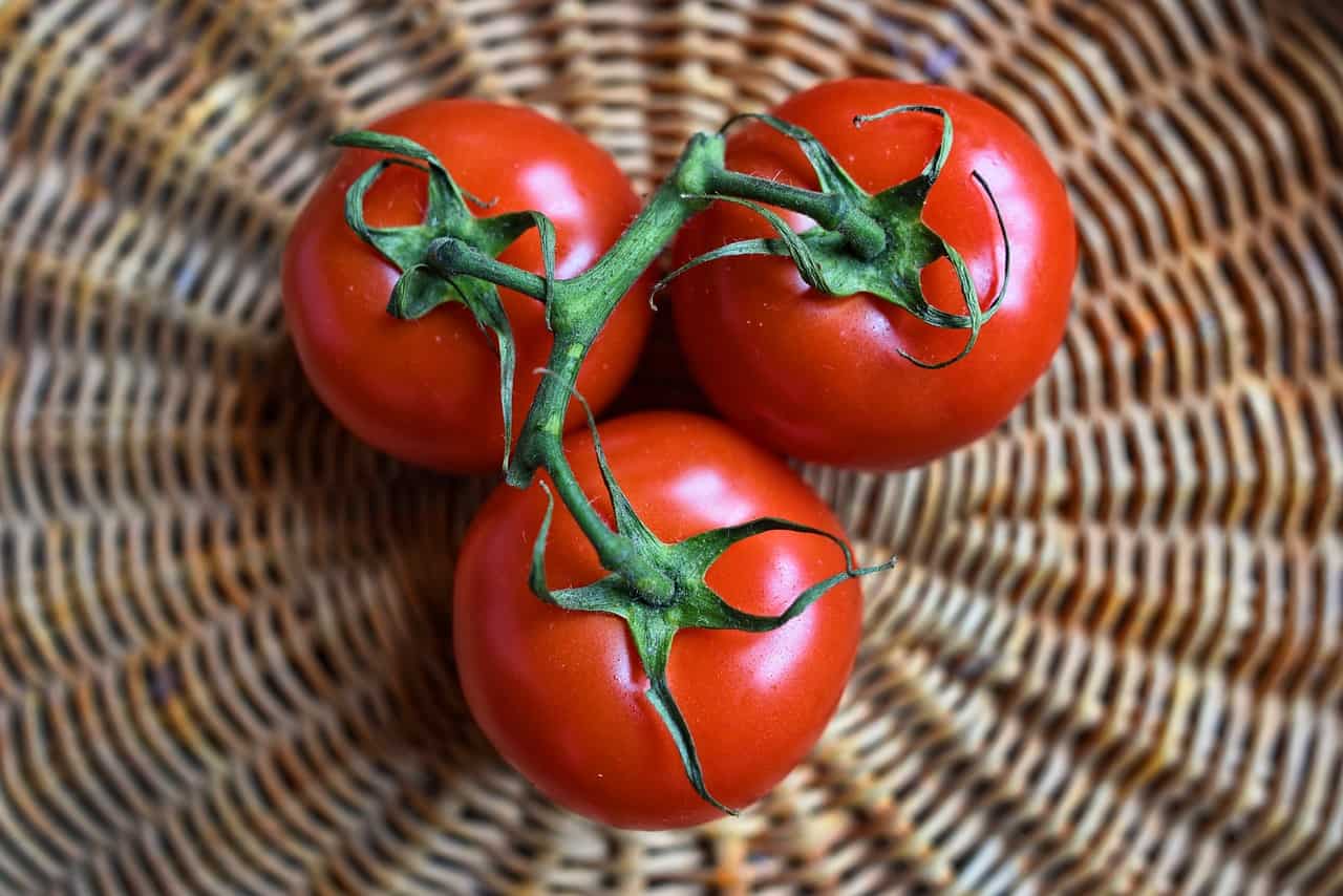 tomato