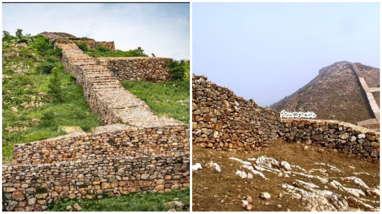 bihar-wall