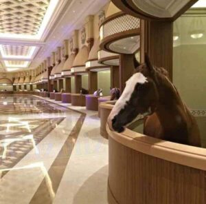 horse