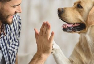 high-five