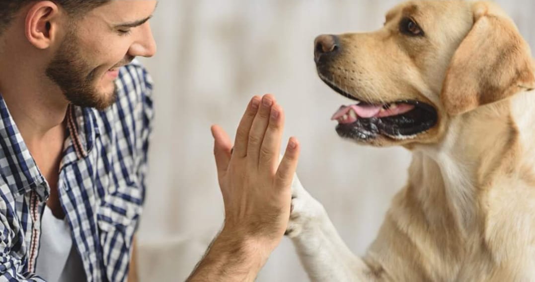 high-five