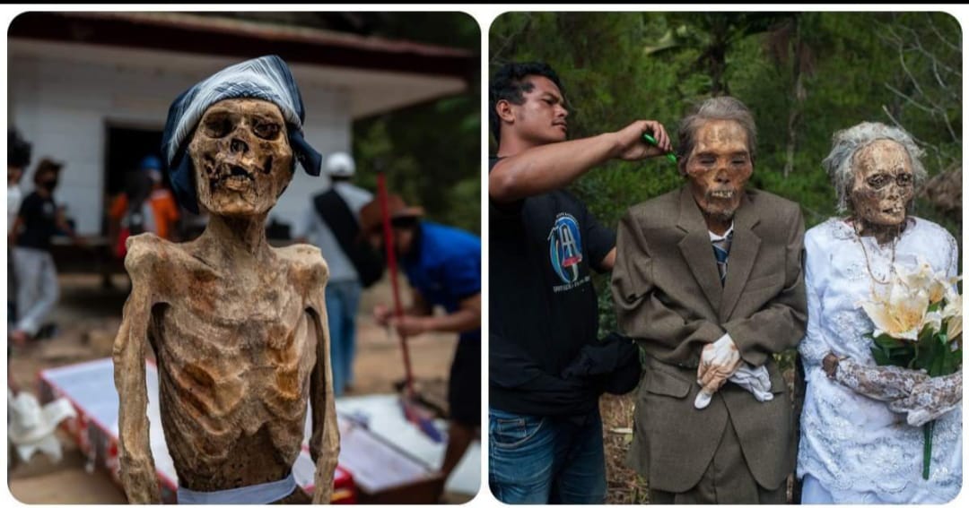 toraja-samudaay
